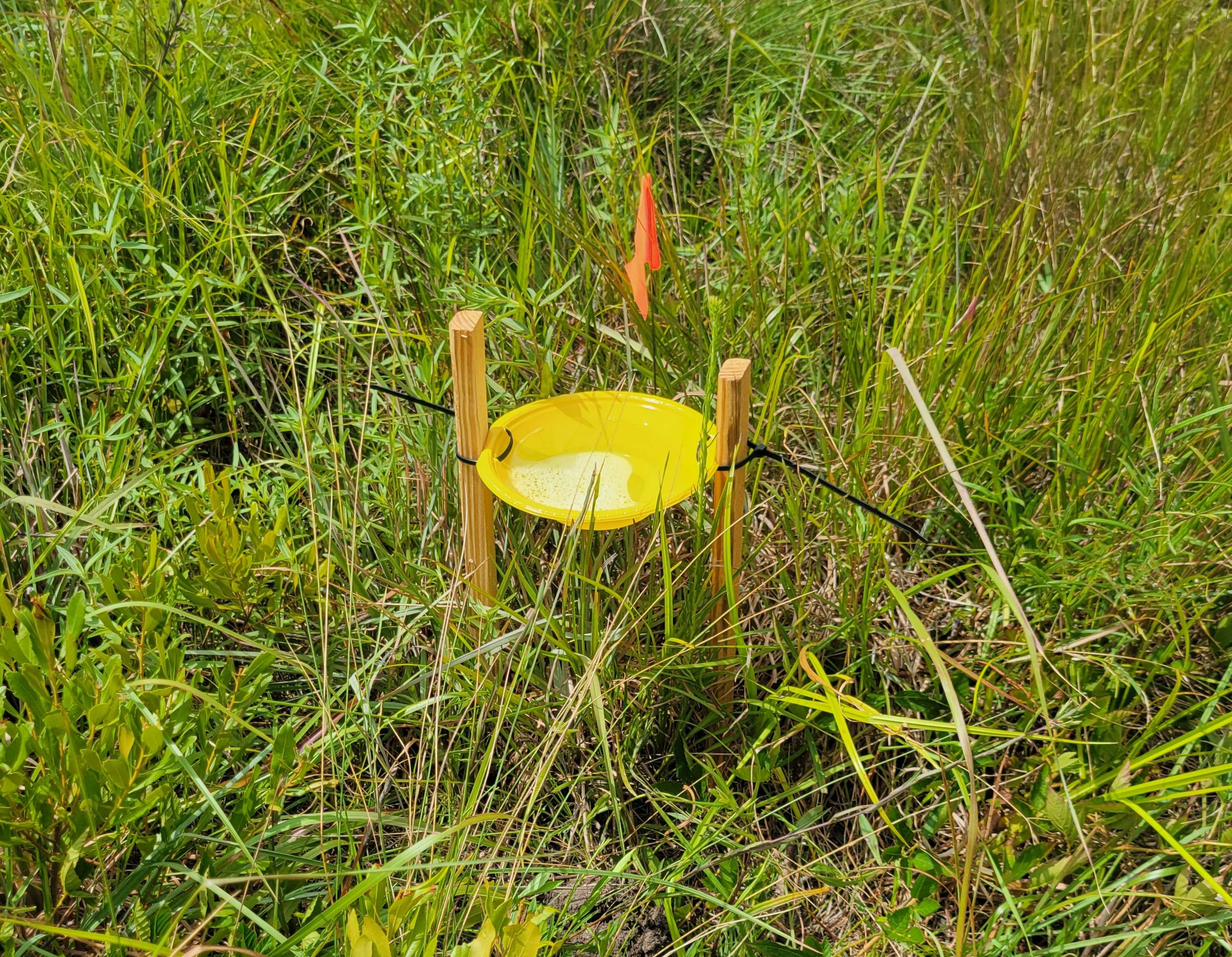 Biological Field Research